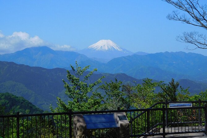 Tokyo: Mt Takao Tour with Ramen and Tattoo-Okay Hot Spring - Meeting Jordan at Takaosanguchi: Simple Start, Real Control