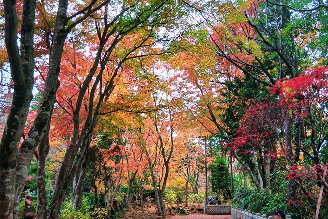 Tokyo: Mt Takao Tour with Ramen and Tattoo-Okay Hot Spring - Takao 599 Museum: A Short Warm-Up That Sets Context