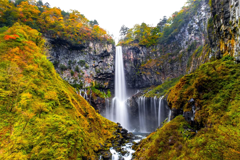 Tokyo: Nikko Toshogu Shrine and Kegon Waterfall Tour - Key highlights to watch for