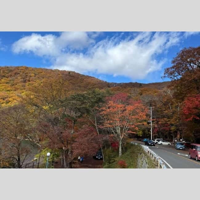 Tokyo: Nikko World Heritage Private Day Trip Hotel Pick-up - Key takeaways before you go