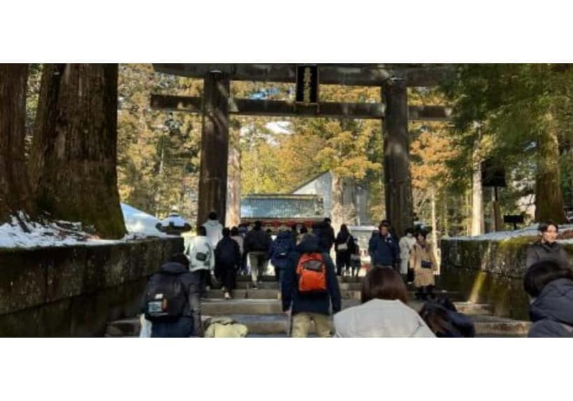 Tokyo: Nikko World Heritage Private Day Trip Hotel Pick-up - Why Nikko Works So Well From Tokyo (Even If You’re Short on Time)