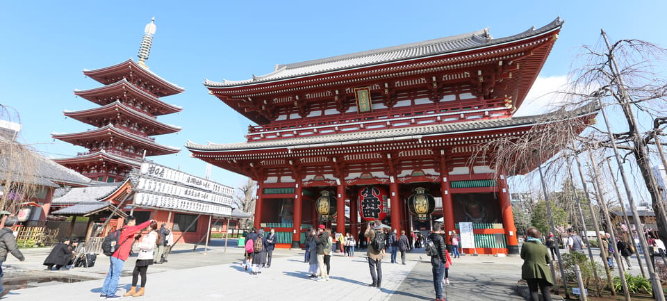 Tokyo: Private City Highlights Tour with Local Guide - Meiji Jingu Shrine Forest: the Reset Between Neighborhoods