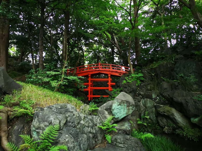 Tokyo: Private & Customizable Tour - All-in-One Experience - Price and value: why $51 per person can make sense
