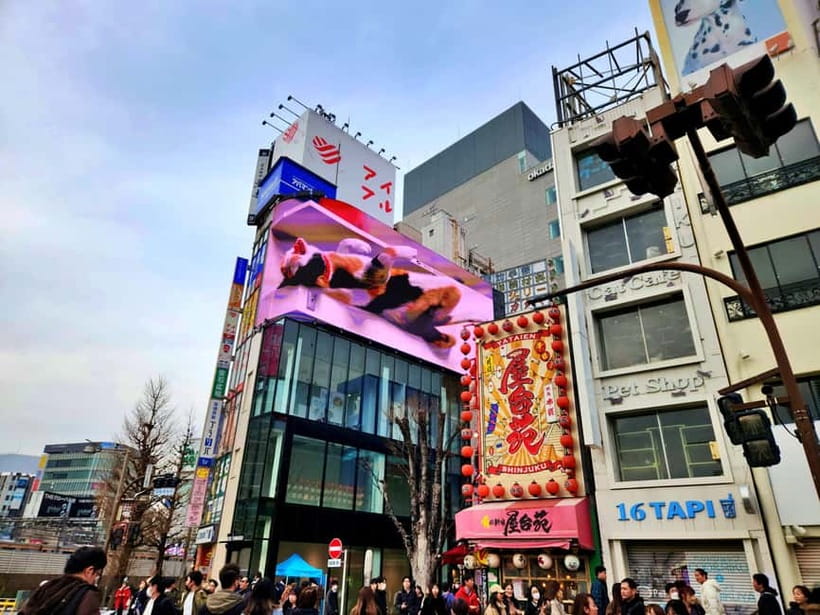 Tokyo: Private & Customizable Tour - All-in-One Experience - Shrines, temples, and the religion basics that make it click