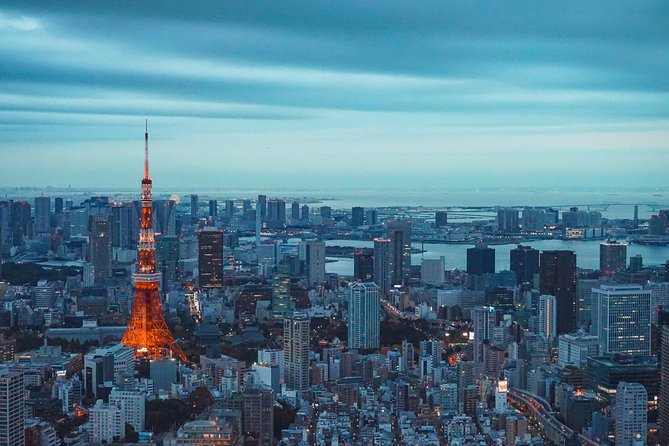 Tokyo Private Full-Day Tour by Car or Van - Tokyo Skytree: go for the views, budget for the ticket