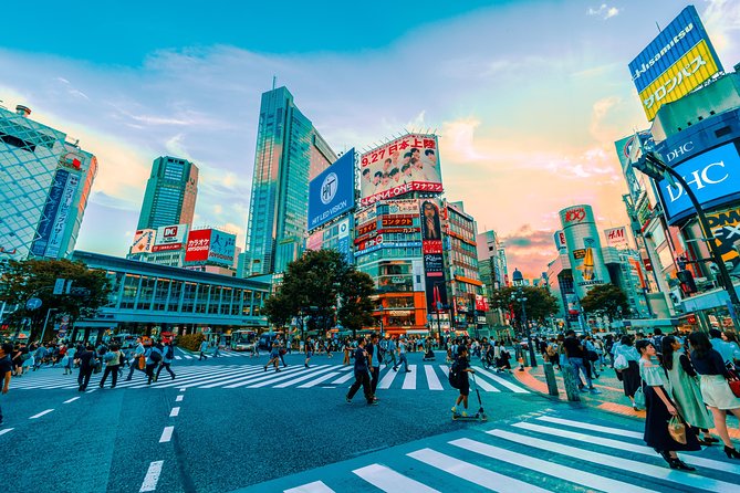 Tokyo Private Full-Day Tour by Car or Van - Meiji Jingu and the Harajuku-area add-ons