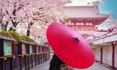 Tokyo: Private Guided Tour with Hotel Pickup and Drop-off - Hotel pickup and the car comfort advantage