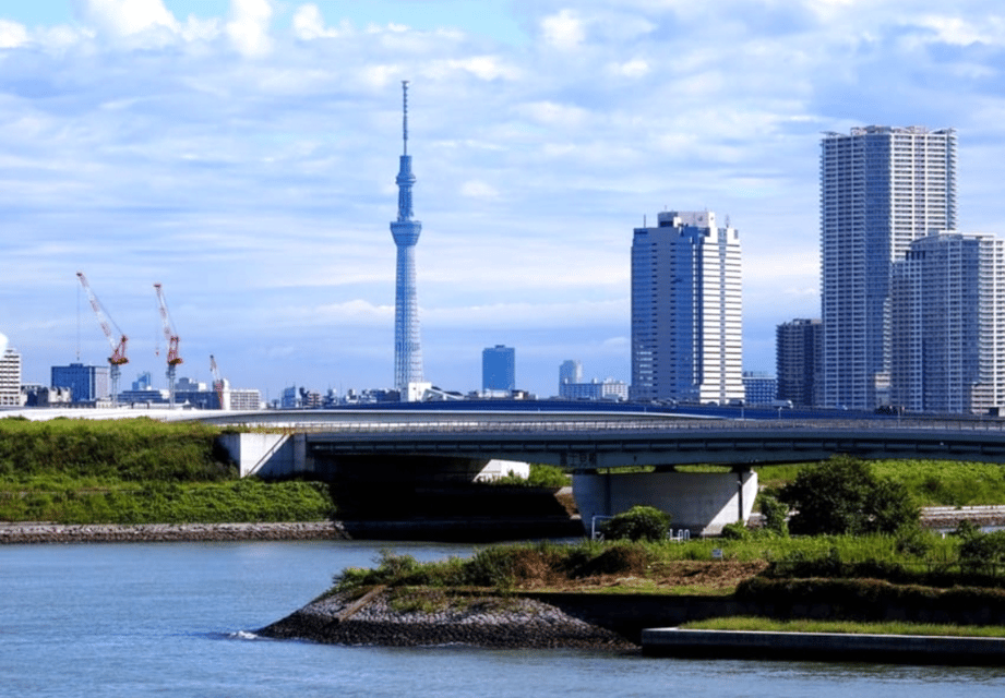 Tokyo: Private Guided Tour with Hotel Pickup and Drop-off - Skytree photo stop plus the queue reality