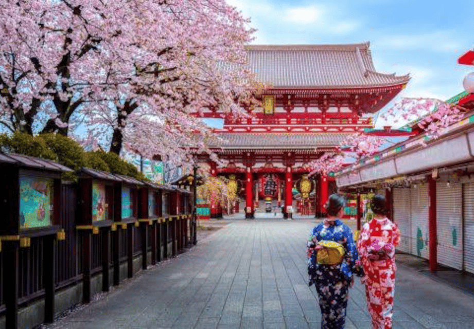 Tokyo: Private Guided Tour with Hotel Pickup and Drop-off - Harajuku: style spotting with a guided layer