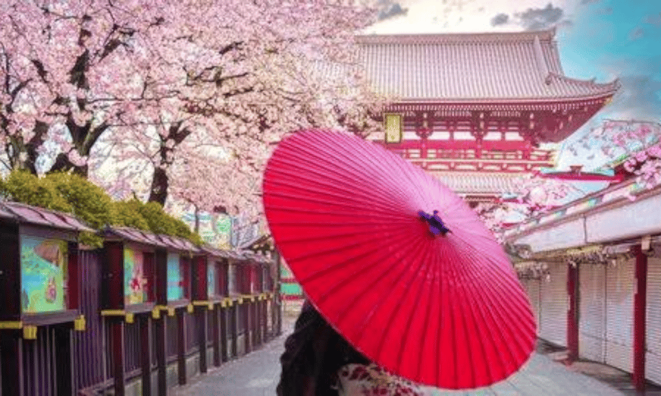 Tokyo: Private Guided Tour with Hotel Pickup and Drop-off - Hotel pickup and the car comfort advantage