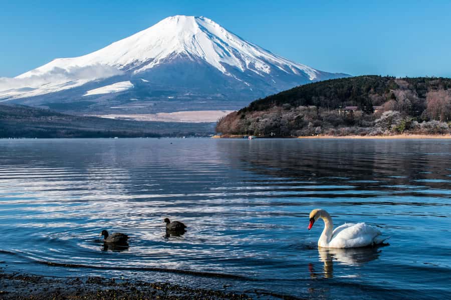 Tokyo: Private Mount Fuji Tour with Pickup and Drop-Off - Key stops and what they mean for your day