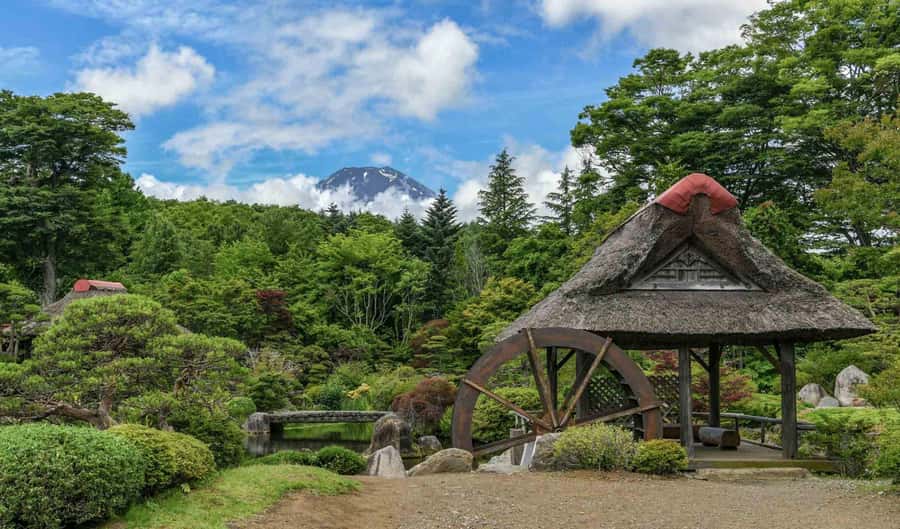 Tokyo: Private Mount Fuji Tour with Pickup and Drop-Off - Arakurayama Sengen Park and other smart add-ons