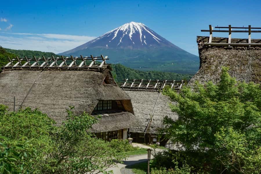 Tokyo: Private Mount Fuji Tour with Pickup and Drop-Off - How customization works with your guide (and why it’s worth paying for)
