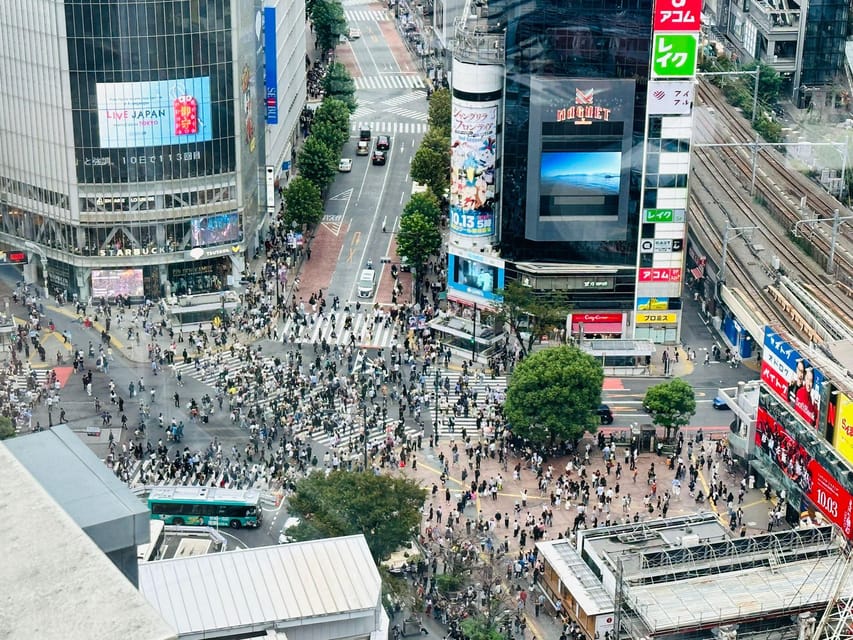 Tokyo: Private Tailored Tour with a Local Guide - Shibuya Crossing and Hachiko: iconic, yes, but not empty