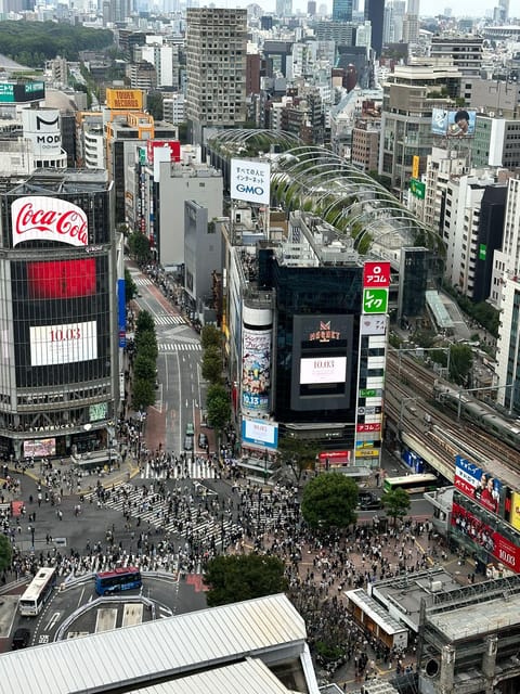 Tokyo: Private Tailored Tour with a Local Guide - Yanaka’s shitamachi streets: the old Tokyo mood you’ll miss