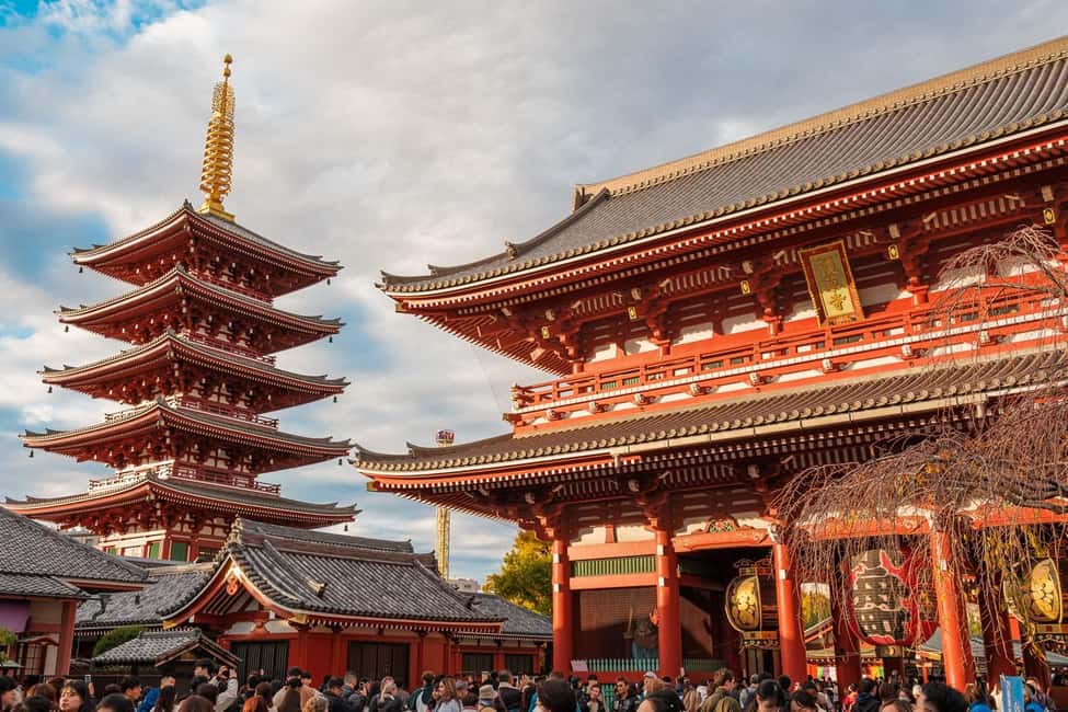 Tokyo: Private Walking Tour with a Local Guide - Key points worth knowing before you go