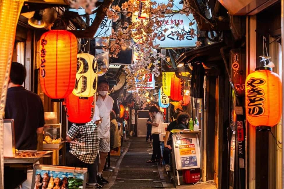 Tokyo: Private Walking Tour with a Local Guide - Hotel Pickup and Public Transport: The Practical Side