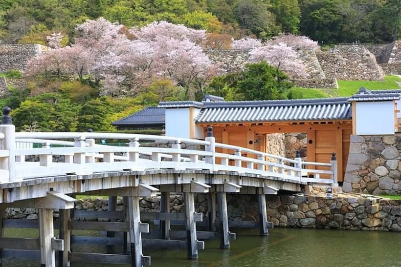 Tokyo: Pvt. Tour - Edo Castle & Imperial Palace East Gardens - Should you book this Edo Castle & Imperial Palace East Gardens tour?