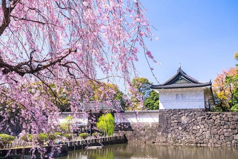 Tokyo: Pvt. Tour - Edo Castle & Imperial Palace East Gardens - Getting started at Wadakura Fountain Park without wasting time