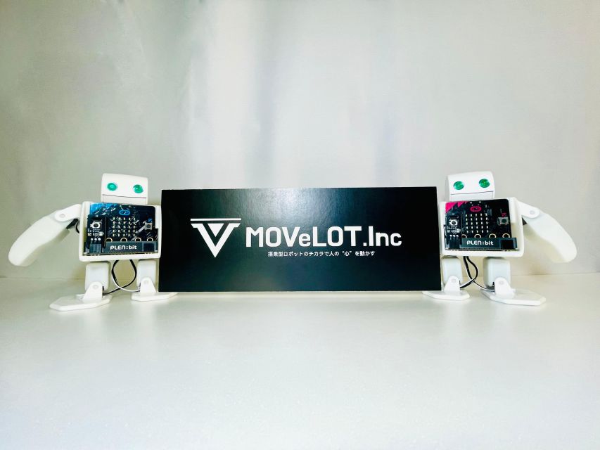 Tokyo: Robot Piloting Attraction Ticket - Programming the launch: where the experience turns from game to tinkering