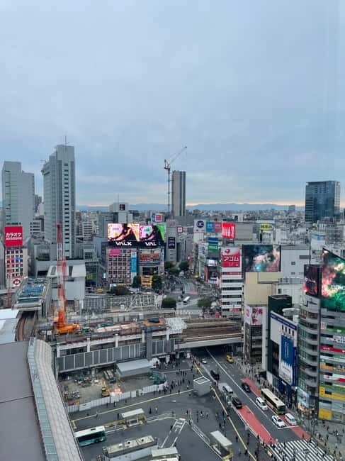 Tokyo: Shibuya Highlights Walking Tour - Elevated Views: When Shibuya Finally Makes Sense