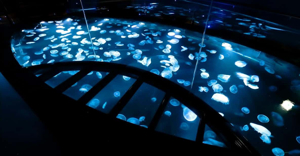 Tokyo: Sumida Aquarium Entry Ticket - Key Things I’d Plan Around