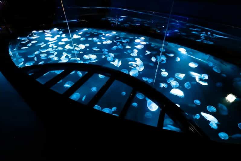 Tokyo: Sumida Aquarium Entry Ticket - Timing: Opening Hours, Last Entry, and the May 23 Adjustment