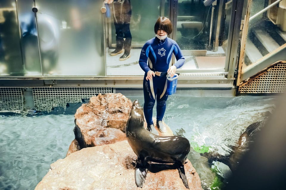 Tokyo: Sumida Aquarium Entry Ticket - Breeding Staff Chats: Penguins, Eels, and Goldfish Facts You’ll Actually Remember