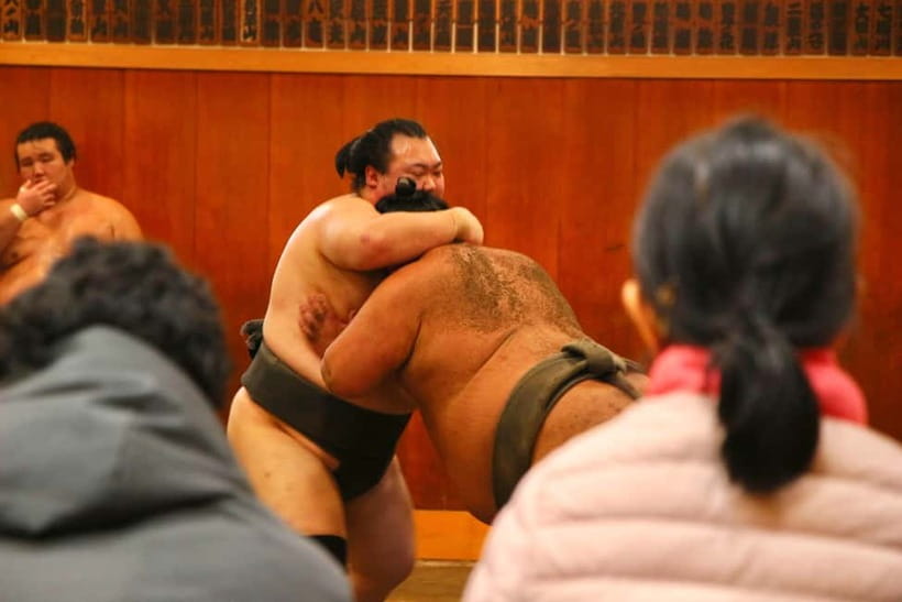 Tokyo Sumo Morning Practice: Viewing & Exclusive Interaction - After practice: Q&A and photos with active wrestlers