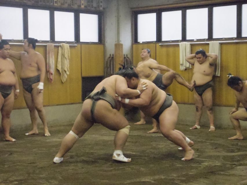 Tokyo: Sumo Morning Practice Viewing Tour - Key highlights worth waking up for