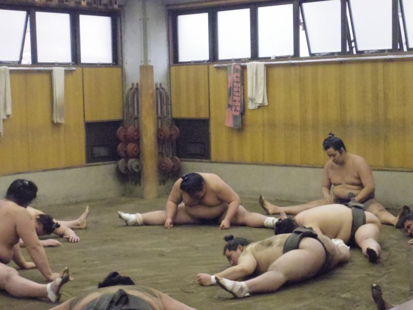 Tokyo: Sumo Morning Practice Viewing Tour - Inside the ring-adjacent world: watching morning training up close