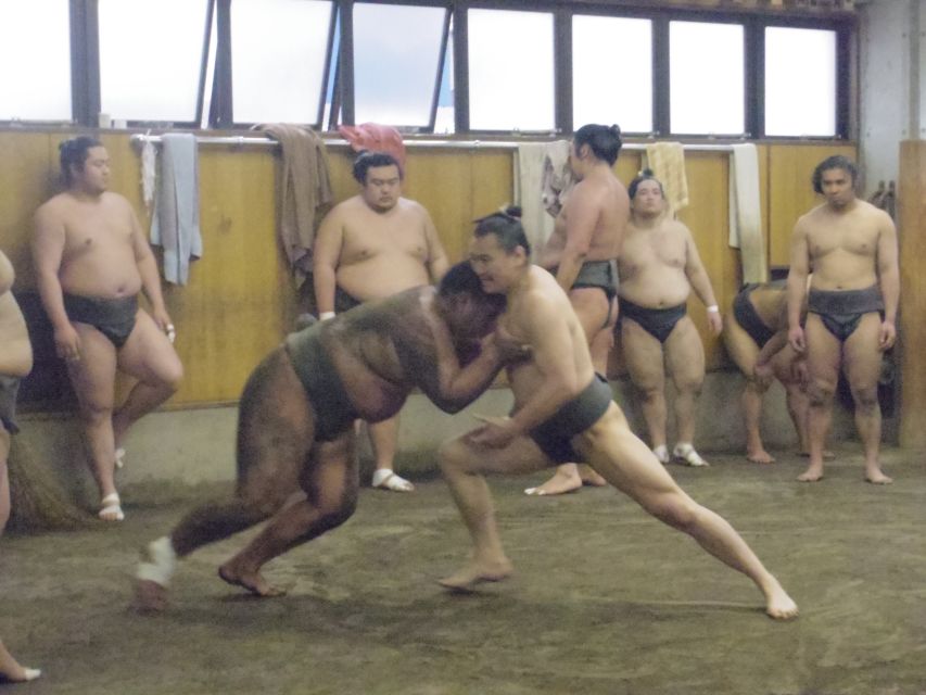 Tokyo: Sumo Morning Practice Viewing Tour - Price and value: why $81 can feel fair