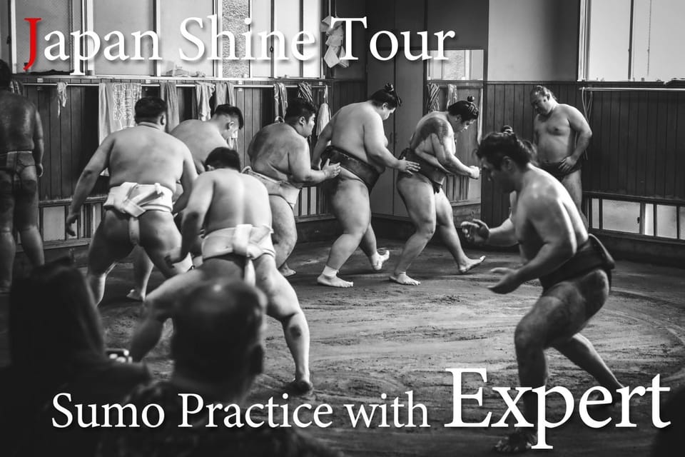 Tokyo: Sumo Morning Practice with journalists. Not fake show - Why This Sumo Morning Practice Feels Different