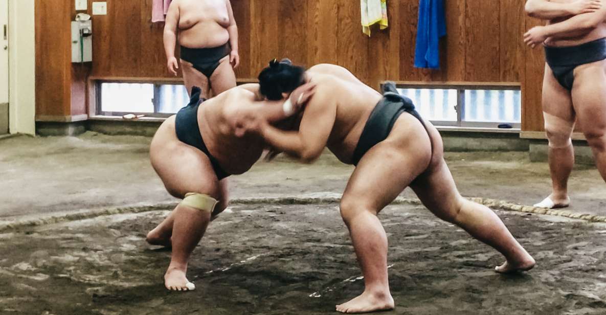 Tokyo: Sumo Morning Training Visit - Why a Sumo Stable Visit Feels Different Than a Tournament