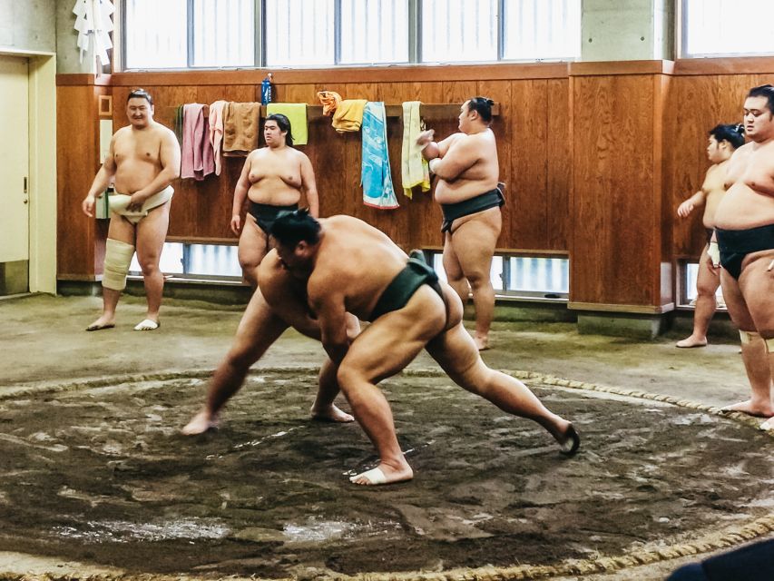 Tokyo: Sumo Morning Training Visit - Price and Value: Is $77 a Good Deal?