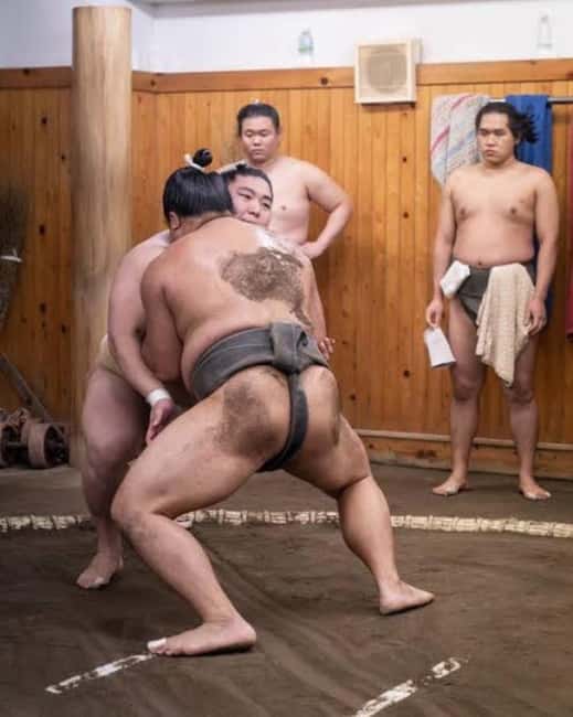 Tokyo: Sumo Show and Experience in Shinjuku - Why This Sumo Show in Shinjuku Feels Different