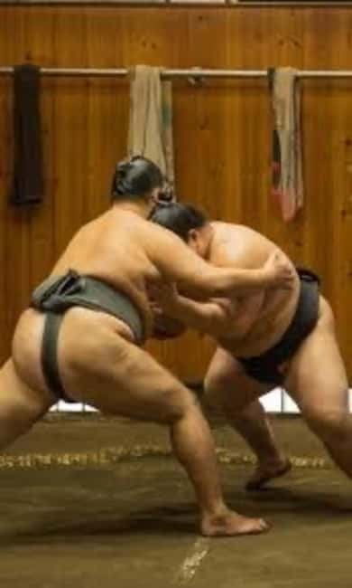 Tokyo: Sumo Show and Experience in Shinjuku - Price and Value: What $69 Buys (And What It Doesn’t)