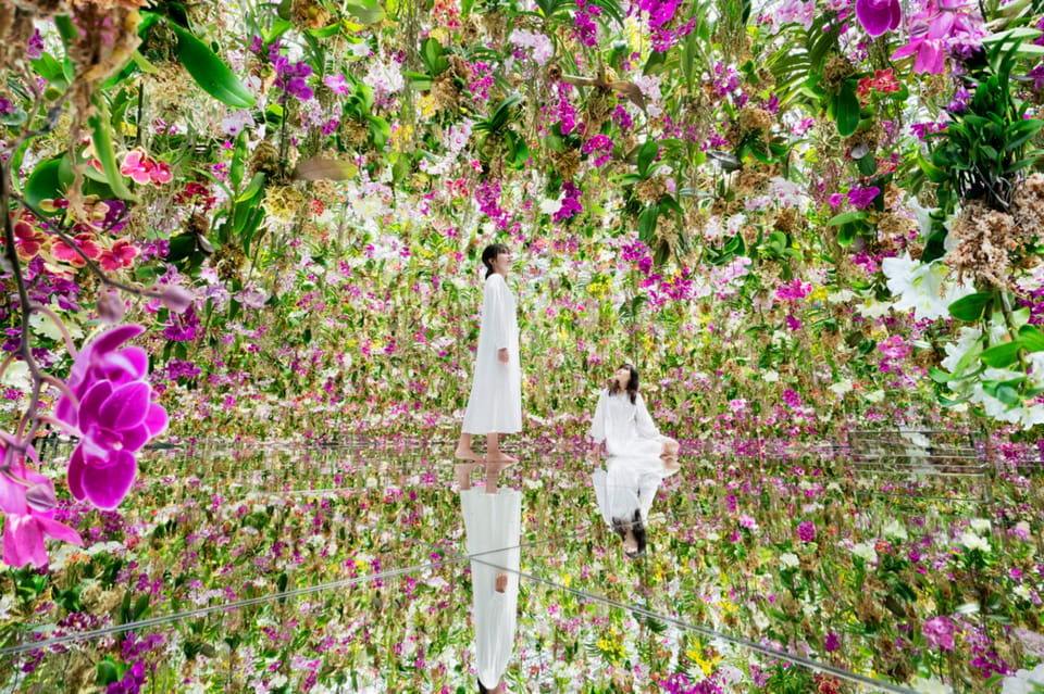 Tokyo: teamLab Planets TOKYO Digital Art Museum Entry Ticket - Key Things to Know Before You Go
