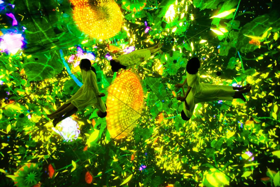 Tokyo: teamLab Planets TOKYO Digital Art Museum Entry Ticket - Accessibility and Health Notes You Shouldn’t Ignore