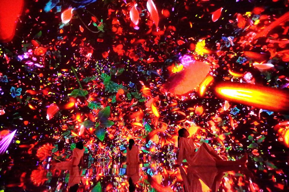 Tokyo: teamLab Planets TOKYO Digital Art Museum Entry Ticket - The Water Gallery: The Room That People Keep Talking About