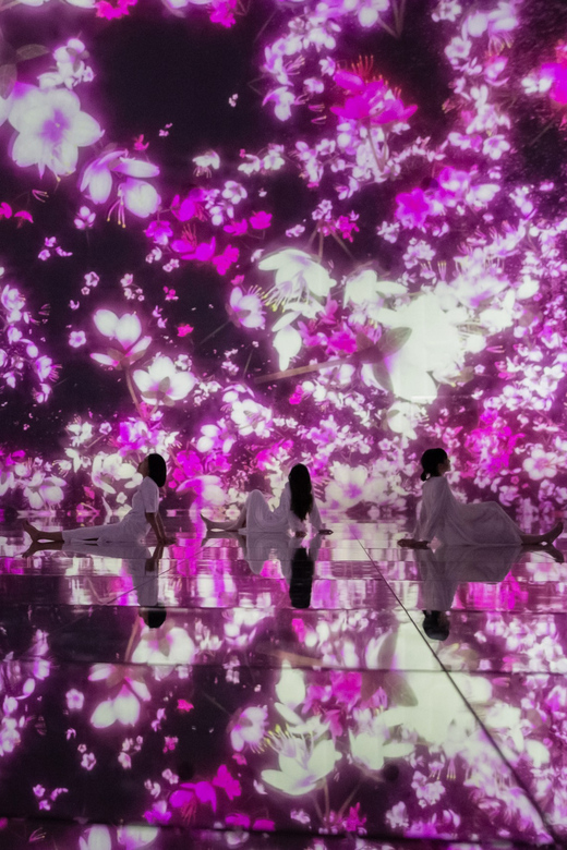 Tokyo: teamLab Planets TOKYO Digital Art Museum Entry Ticket - The Forest and Semi-Outdoor Atmosphere