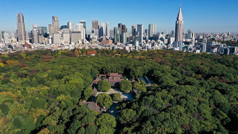 Tokyo: Tokyo Private Day Tour With Guide - Meiji Jingu Shrine: a forest walk that resets your brain