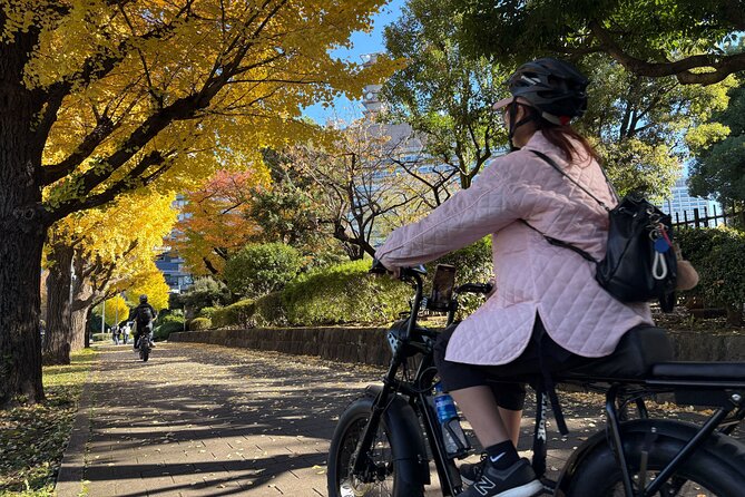 Tokyo Top Highlights 3h Guided E-bike Tour - Pace, safety, and what the included snack really changes