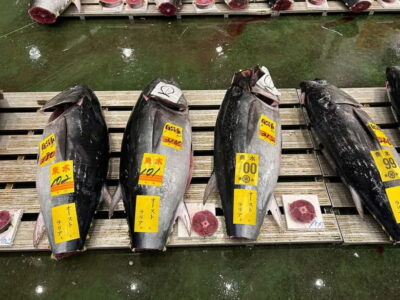 Tokyo Toyosu Tuna Auction + Breakfast (Sushi Dai or Bentomi) - Making sense of the bidding: te-jirushi and what’s happening in real time