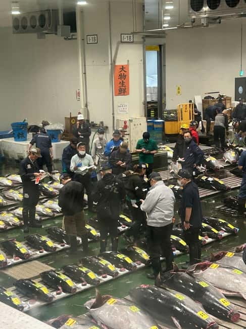 Tokyo Toyosu Tuna Auction + Breakfast (Sushi Dai or Bentomi) - Beyond the auction: market time and the “real Tokyo” details