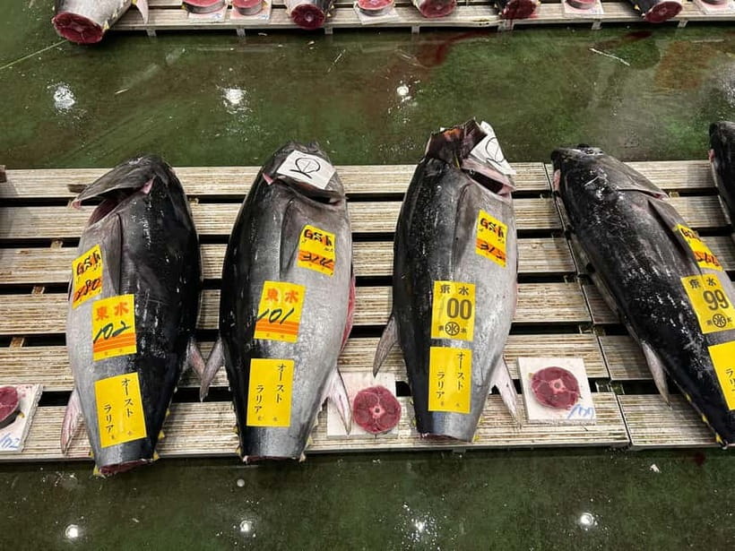 Tokyo Toyosu Tuna Auction + Breakfast (Sushi Dai or Bentomi) - Making sense of the bidding: te-jirushi and what’s happening in real time