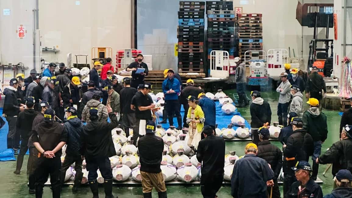 Tokyo: Toyosu Tuna Auction &Tsukiji Market Gourmet Adventure - Tsukiji Market Stroll: Quick Shopping Wins and Real-World Souvenirs