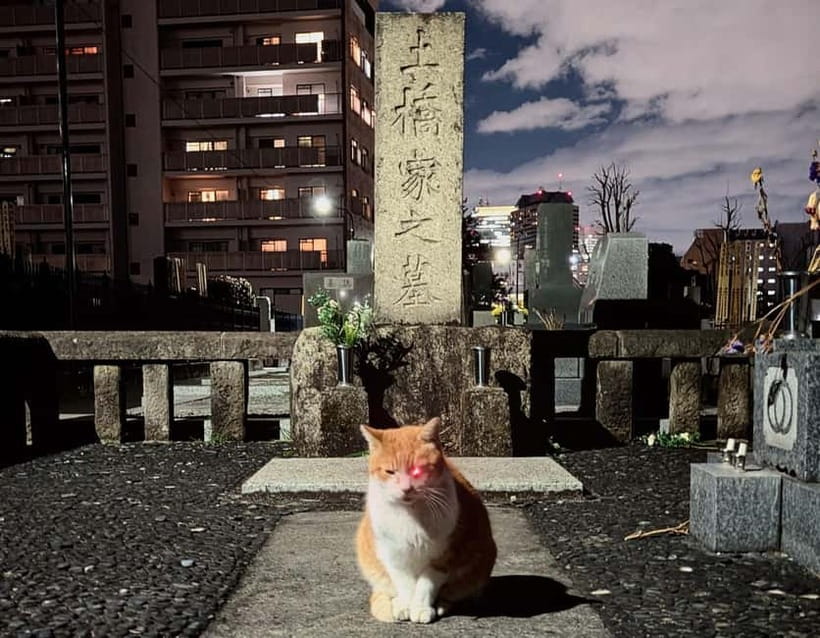 Tokyo: True Crime And Ghost Stories Tour - Entering Hanazono Shrine (Shinjuku) and Getting Your Bearings