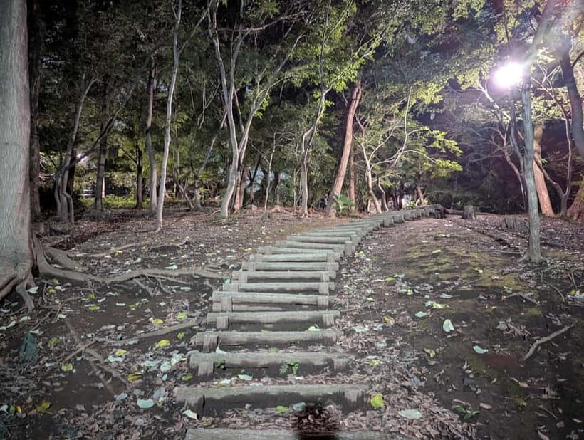 Tokyo: True Crime And Ghost Stories Tour - Aoyama Cemetery: Ghost Stories in Tokyo’s Most Atmosphere-Heavy Setting