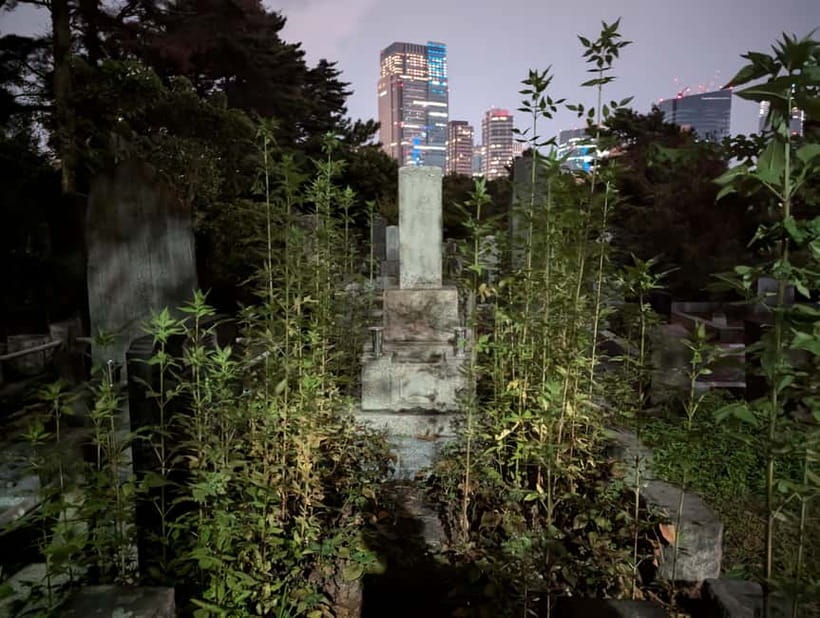 Tokyo: True Crime And Ghost Stories Tour - Price and Logistics: Getting Value From $35 for 3 Hours